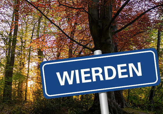 ict wierden
